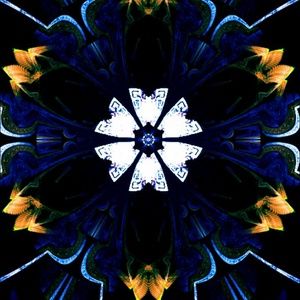 Meet your Posher, Bryce